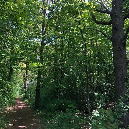 De Bosrand Grenzend Aan Het Bos Villa Castricum Buitenkant foto