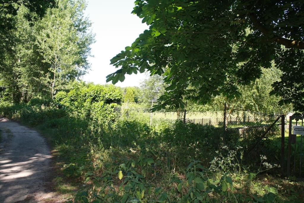 De Bosrand Grenzend Aan Het Bos Villa Castricum Buitenkant foto